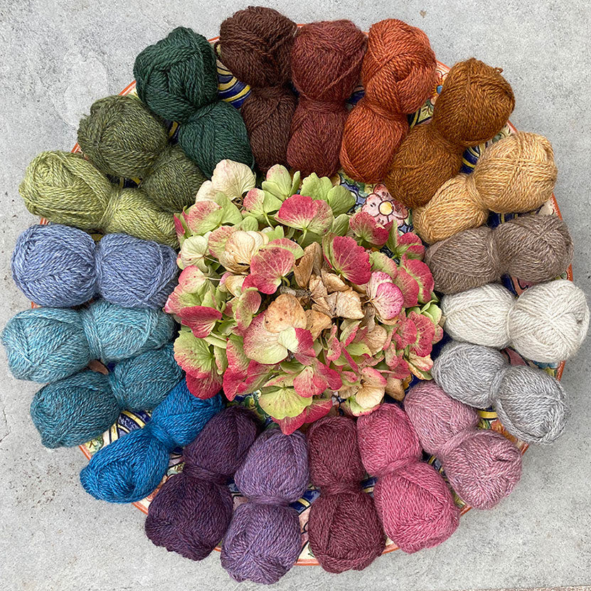 Four New Colours of Marie Wallin's British Breeds