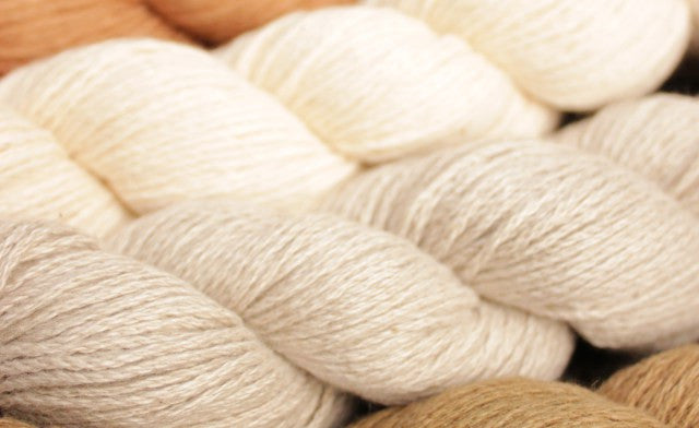 Launch of Pakucho Organic Cotton